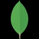 MongoDB icon
